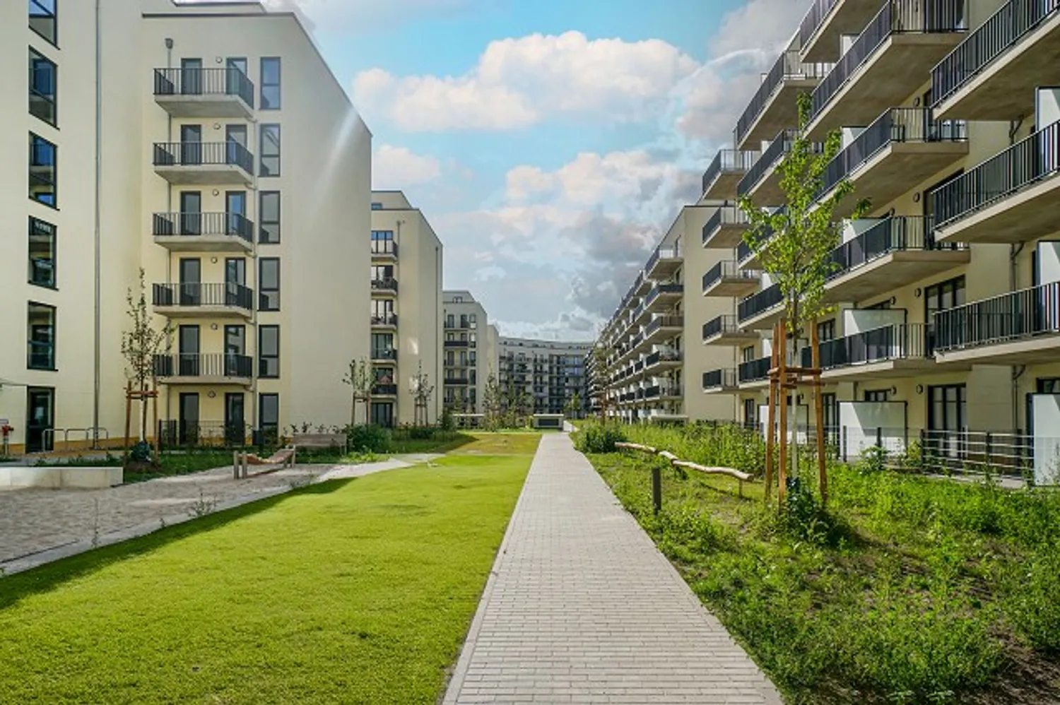 3 room apartment with 80 m² in Berlin – Photo 2