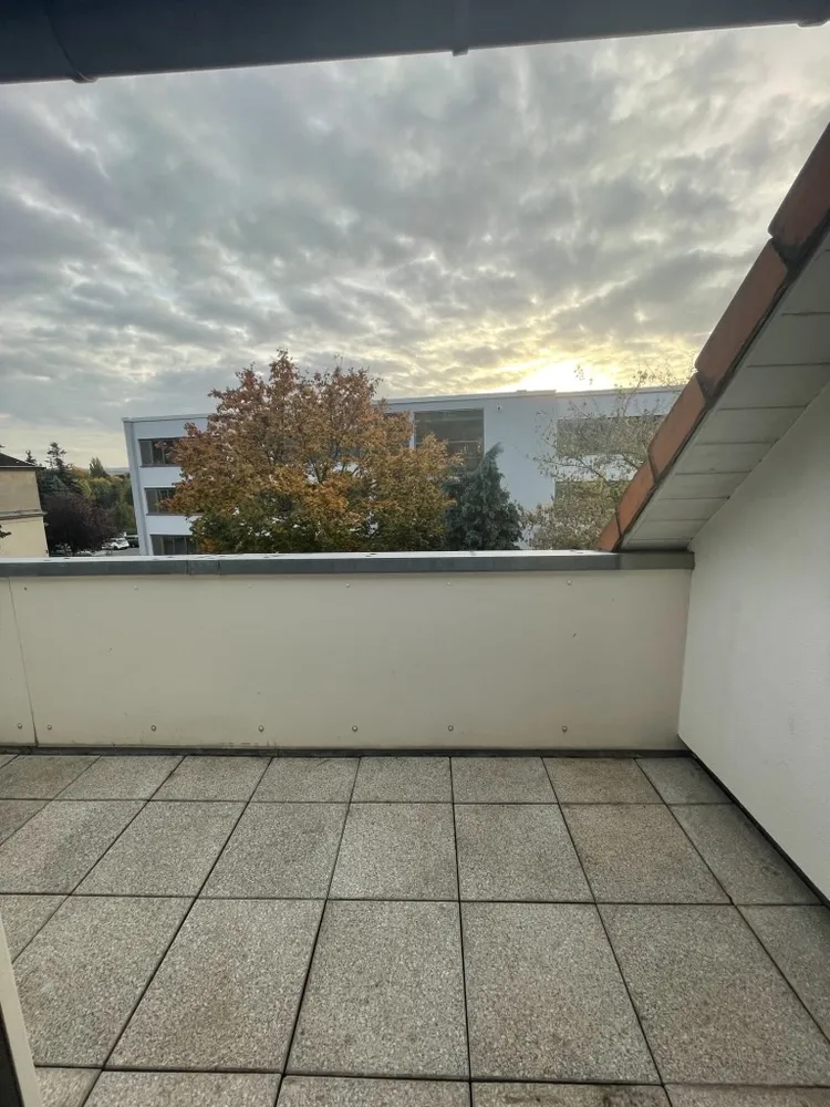 3 room apartment with 72 m² in Dresden – Photo 2