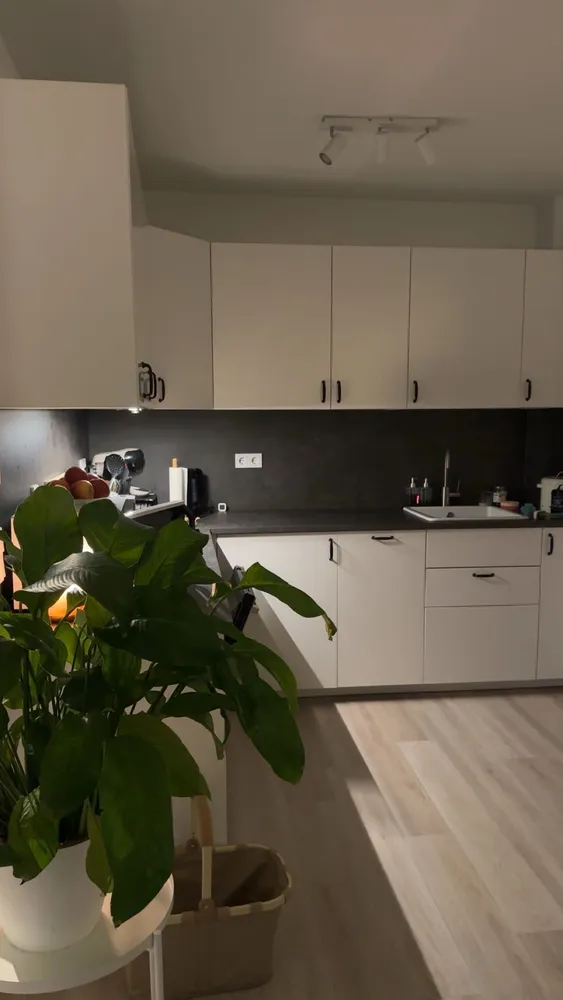 2 Zimmer Wohnung mit 50 m² in Düren – Bild 4