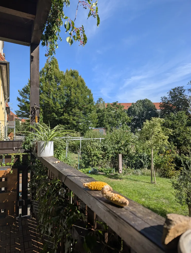 2 Zimmer Wohnung mit 48 m² in Dresden – Bild 12