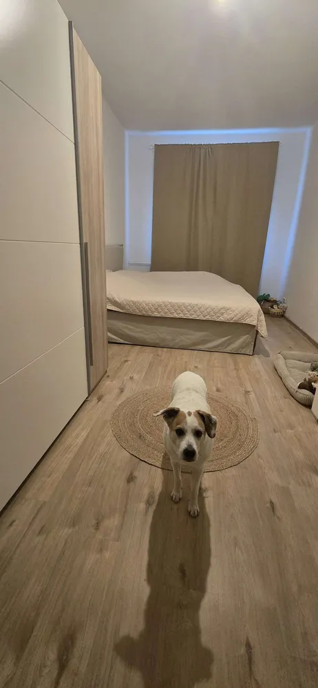 3 room apartment with 116 m² in Duisburg – Photo 3