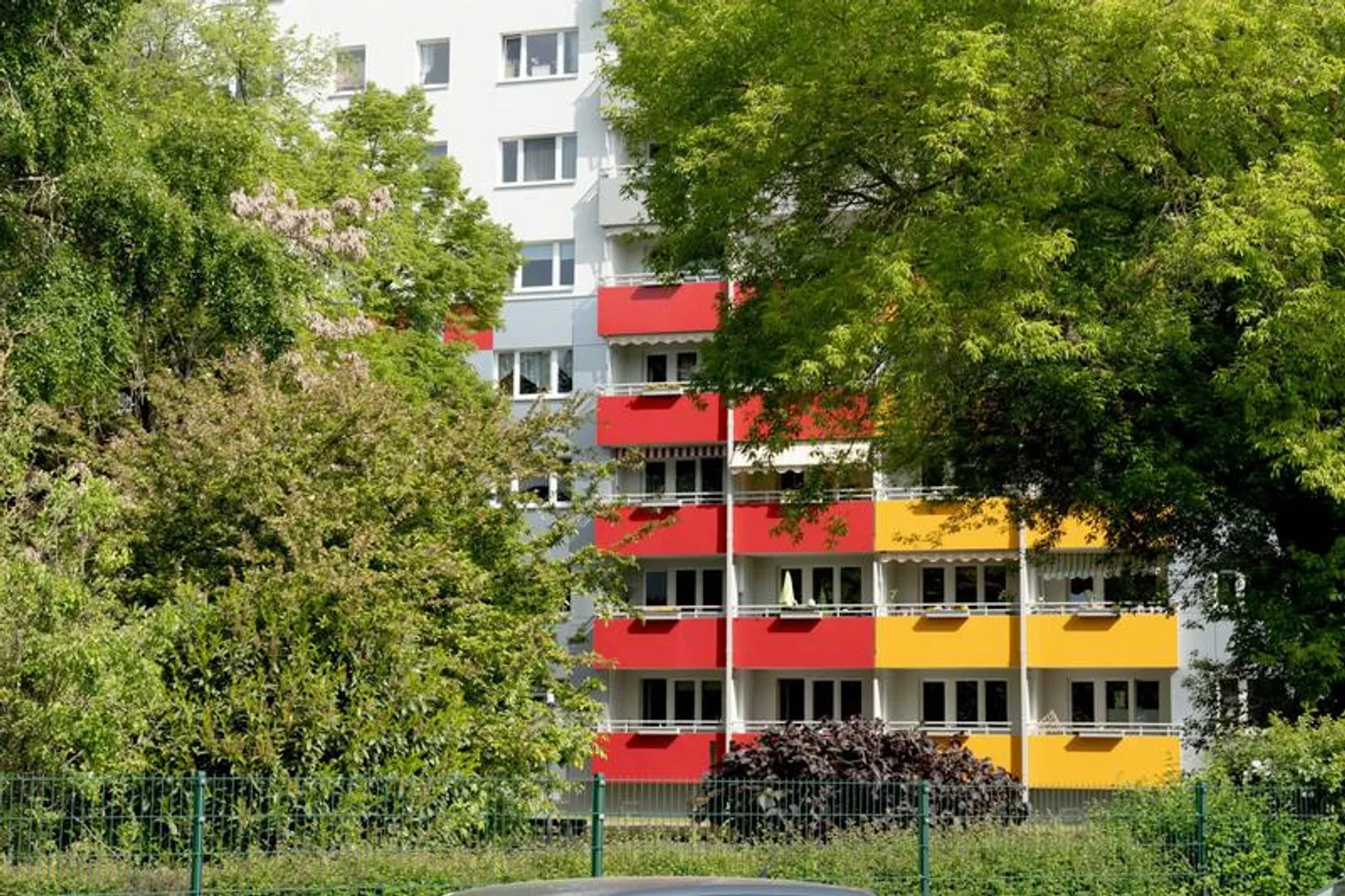2 Zimmer Wohnung mit 49 m² in Magdeburg – Bild 3