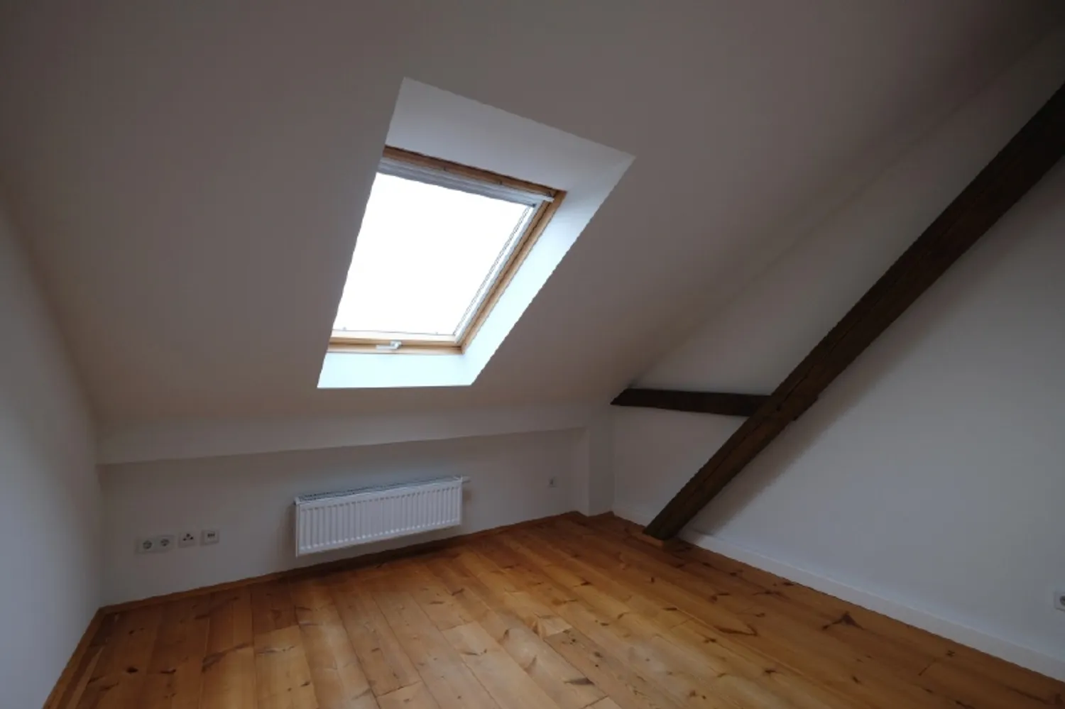 3 room apartment with 69 m² in Dresden – Photo 6