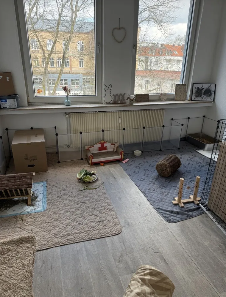 3 room apartment with 100 m² in Bielefeld – Photo 6