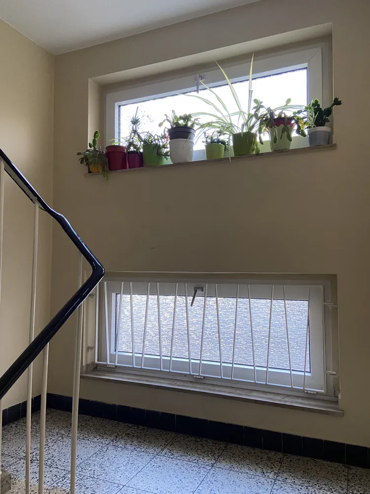 2 Zimmer Wohnung mit 56 m² in Köln – Bild 3
