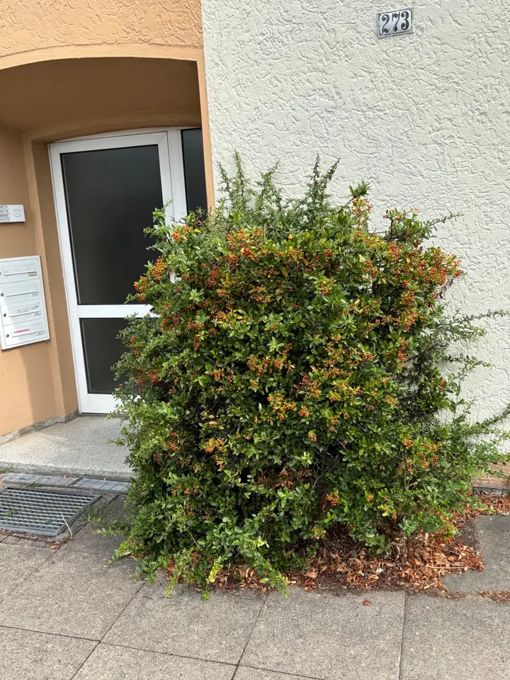 3 Zimmer Wohnung mit 80 m² in Bielefeld – Bild 3