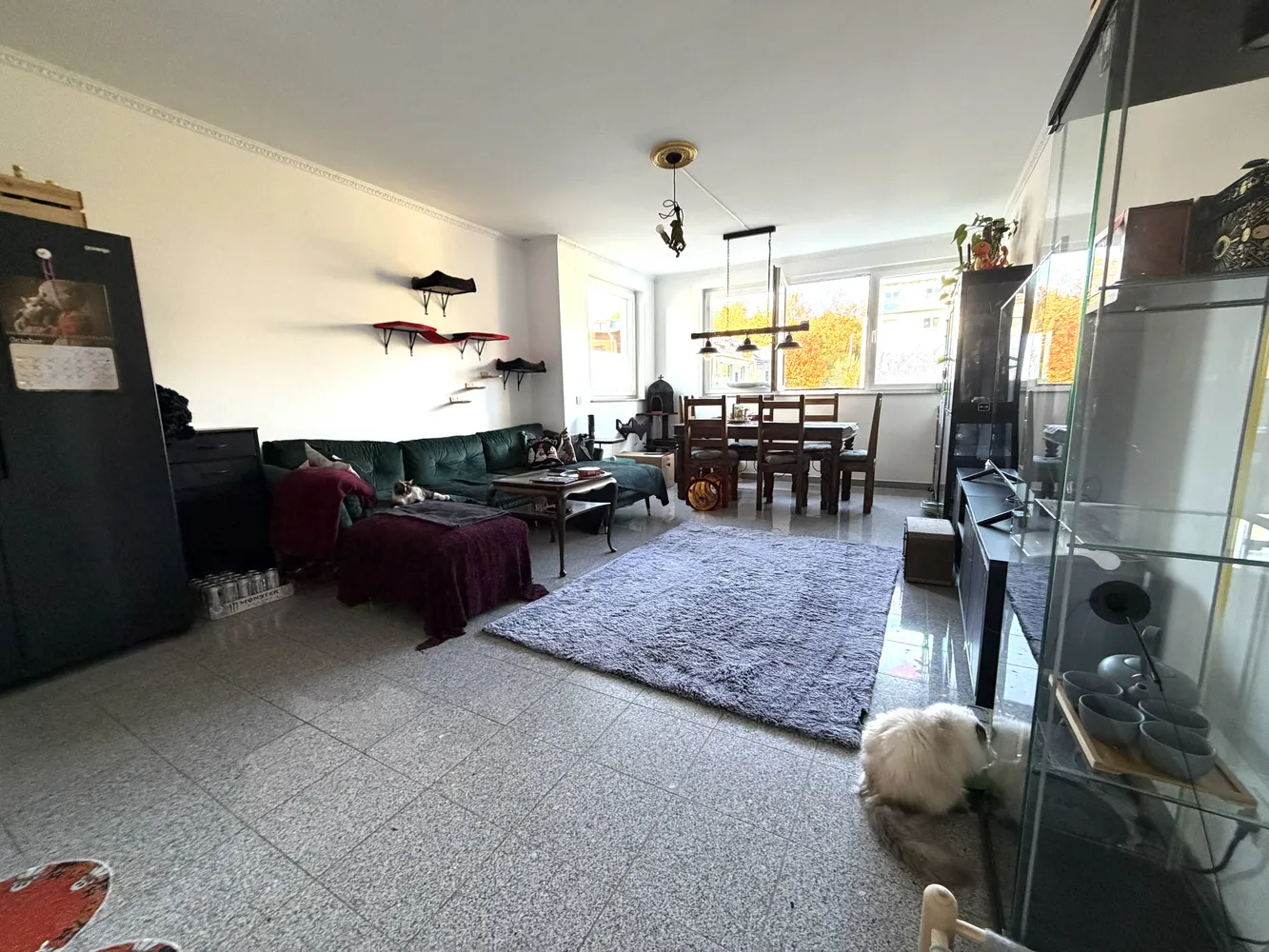 3 Zimmer Wohnung mit 1043 m² in Hürth – Bild 6