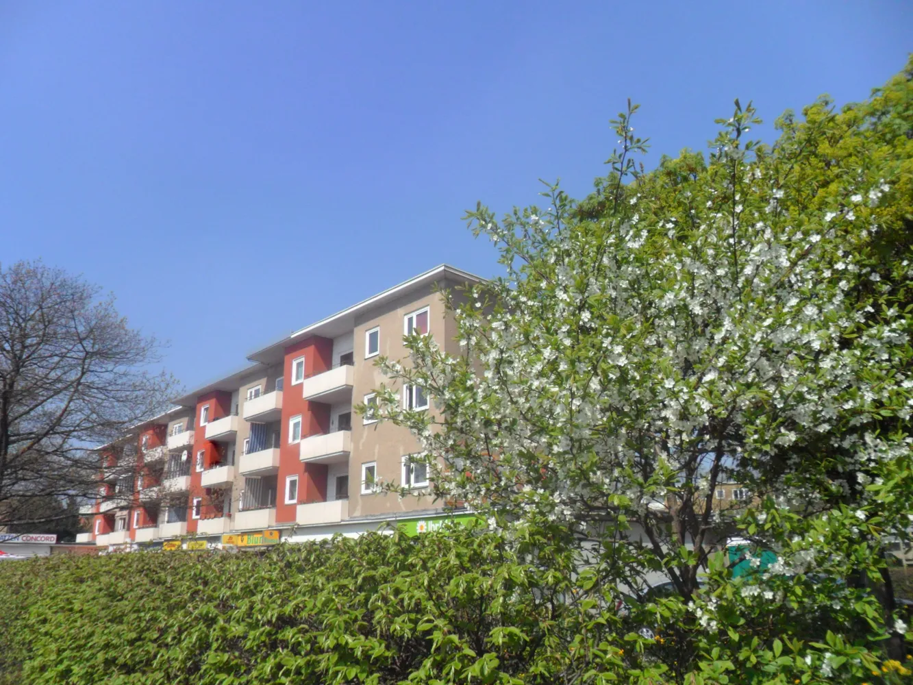 2 Zimmer Wohnung mit 57 m² in Berlin – Bild 1