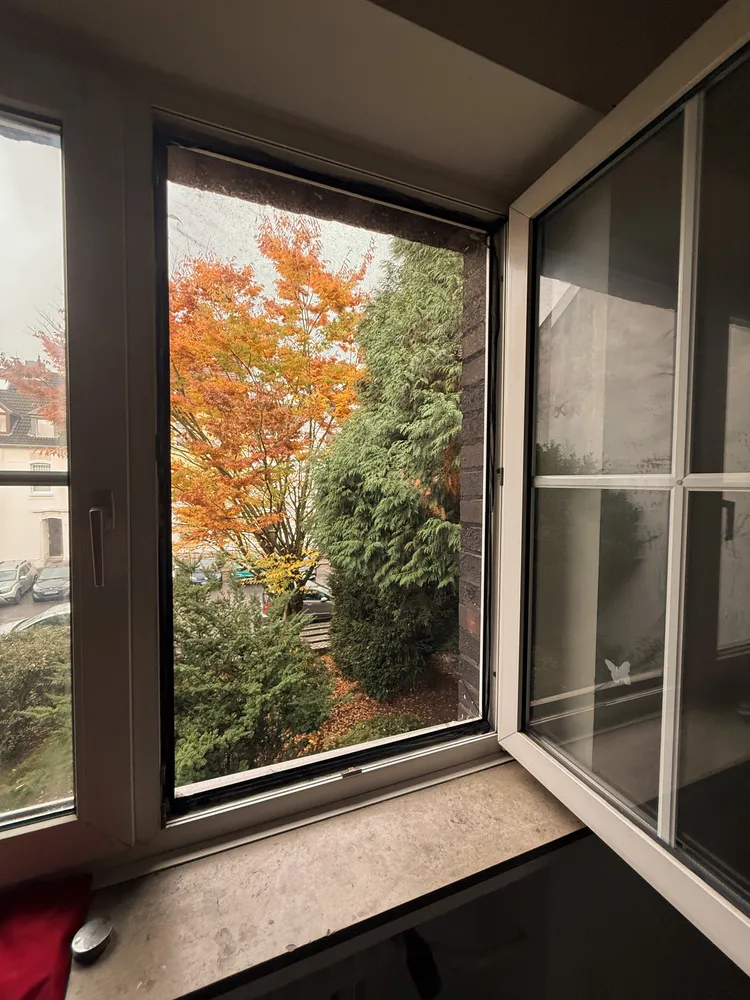 3 Zimmer Wohnung mit 52 m² in Düsseldorf – Bild 2