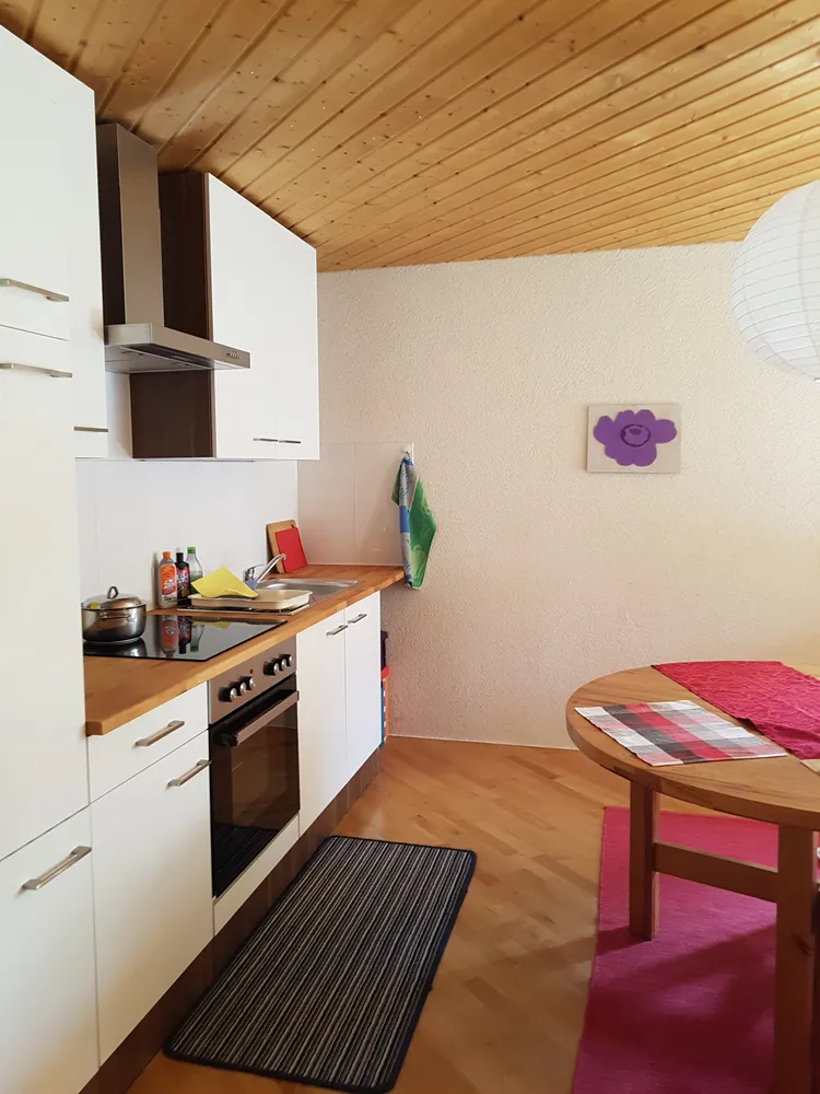 1 room apartment with 30 m² in Radolfzell am Bodensee – Photo 2