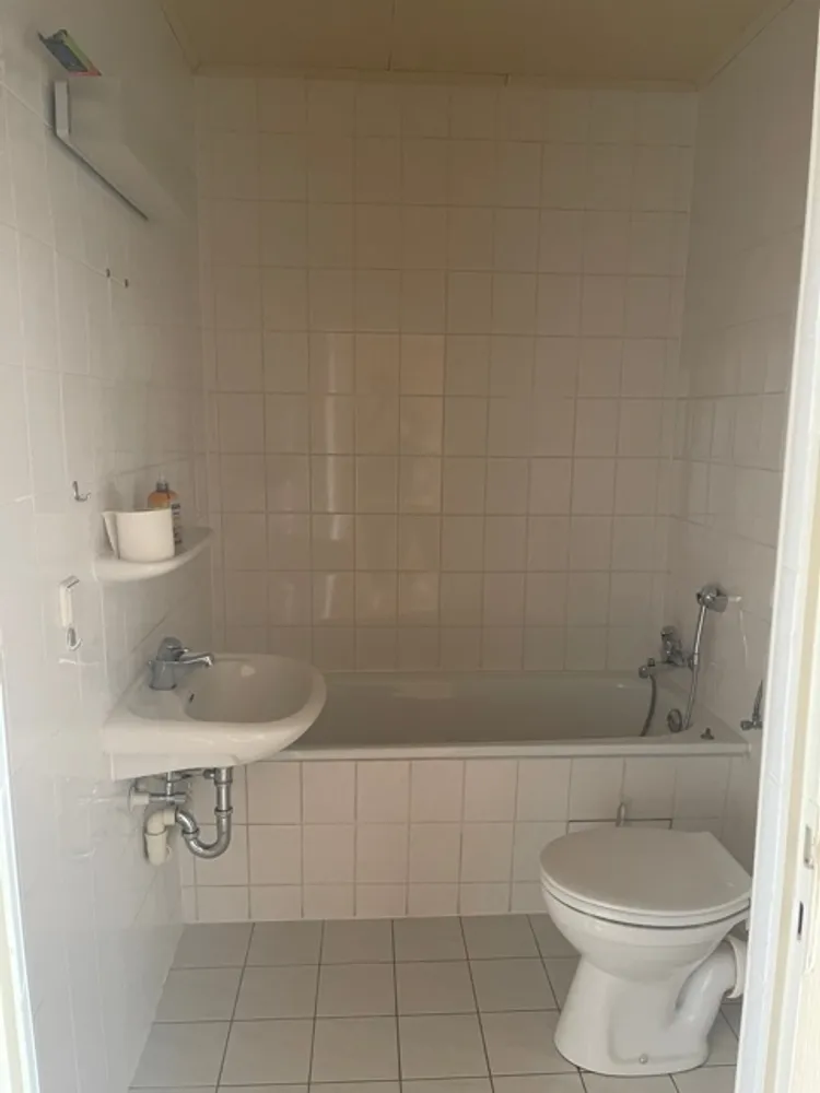 3 Zimmer Wohnung mit 55 m² in Halle (Saale) – Bild 5