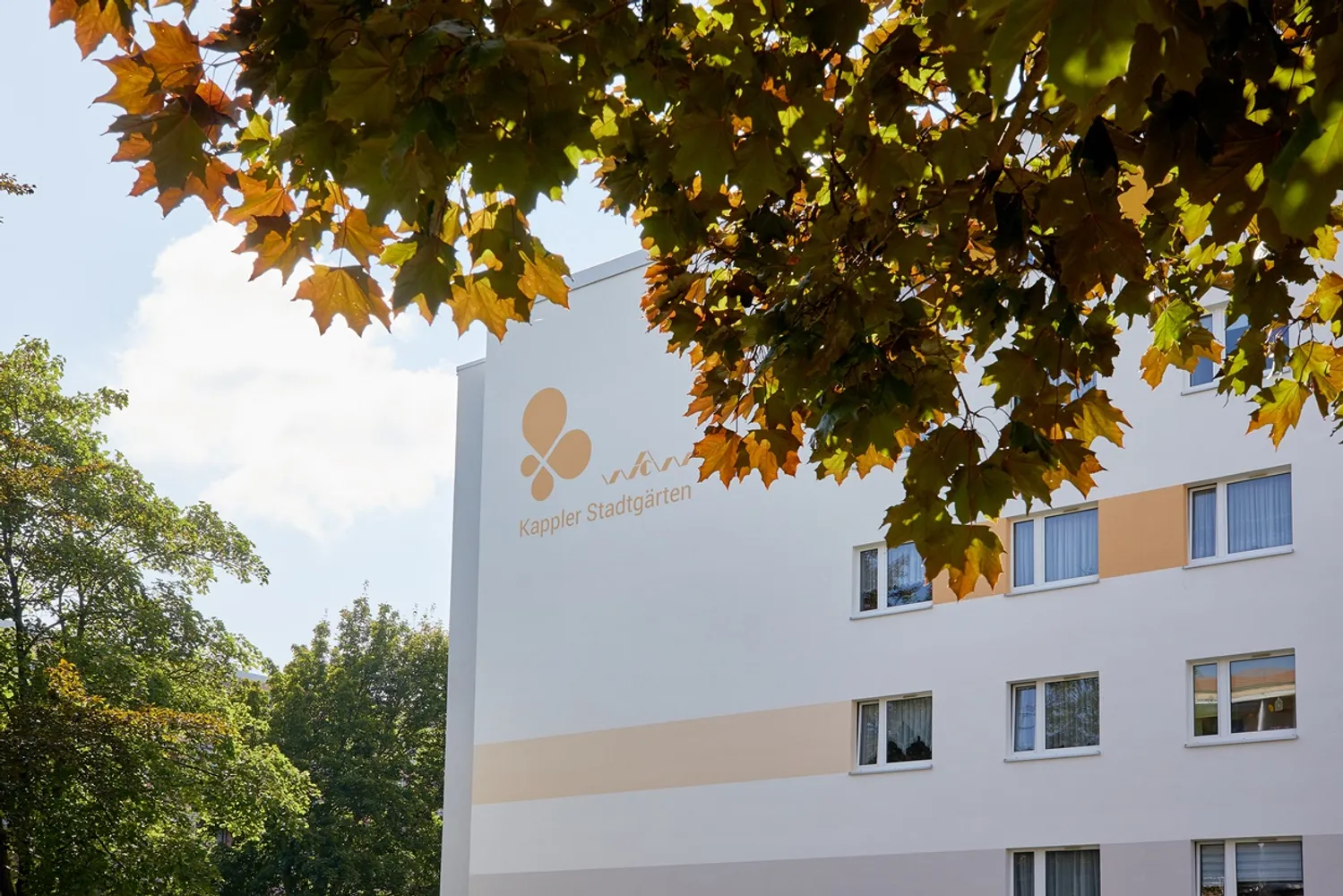 2 Zimmer Wohnung mit 46 m² in Chemnitz – Bild 10