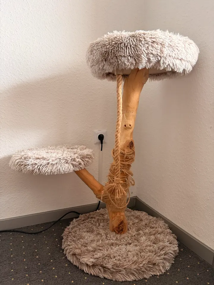 2 Zimmer Wohnung mit 63 m² in Papenburg – Bild 7