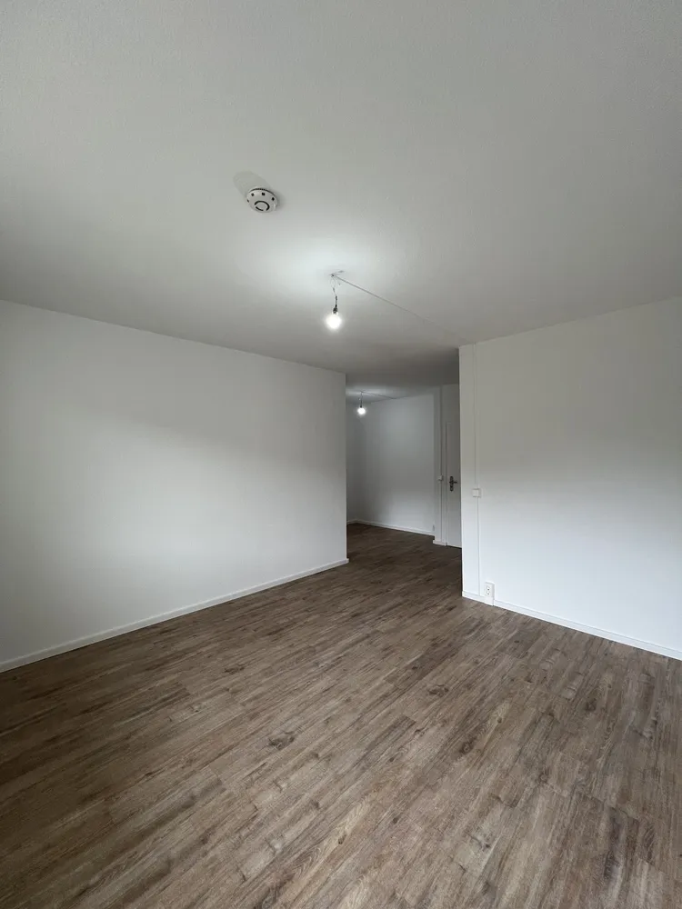 3 room apartment with 56 m² in Chemnitz – Photo 3