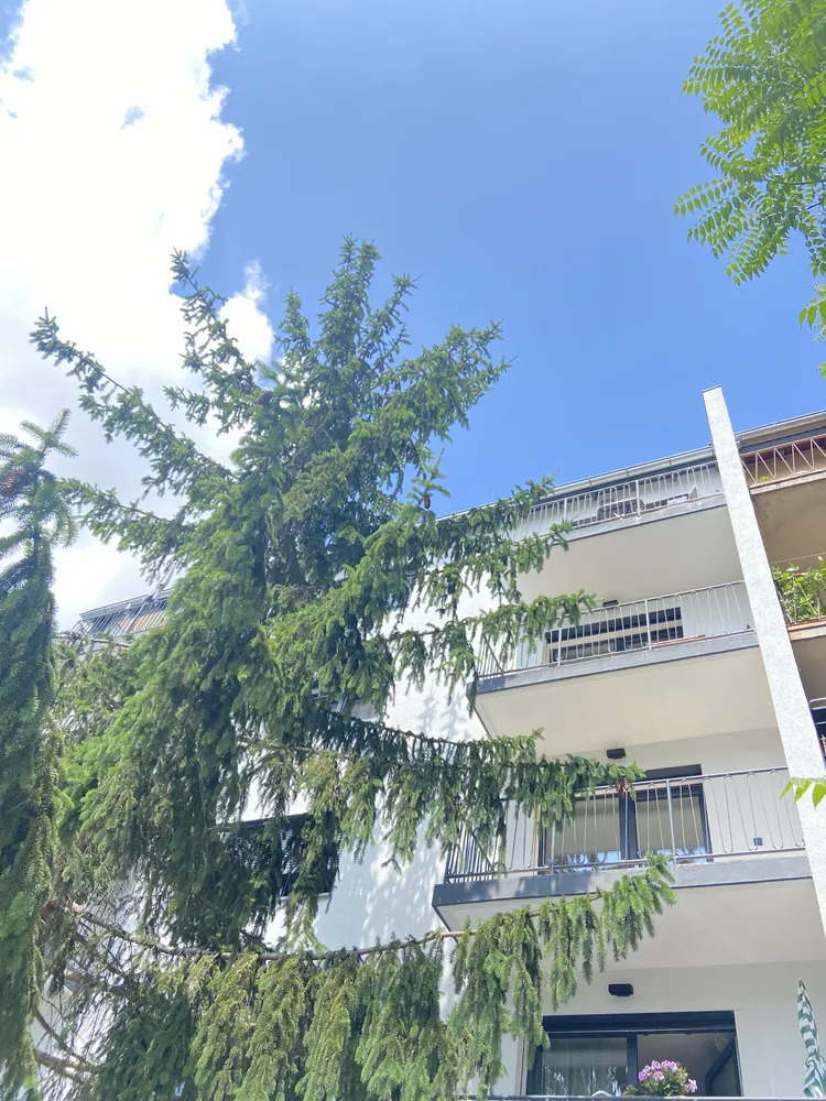 1 Zimmer Wohnung mit 53 m² in Frankfurt am Main – Bild 4