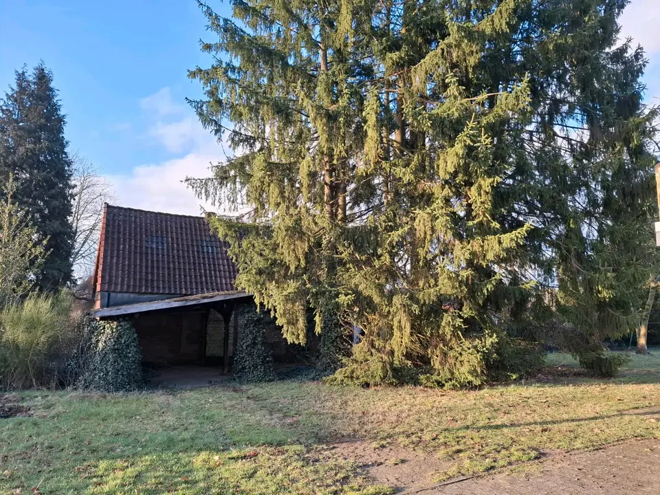 2 Zimmer Wohnung mit 100 m² in Walsrode – Bild 2
