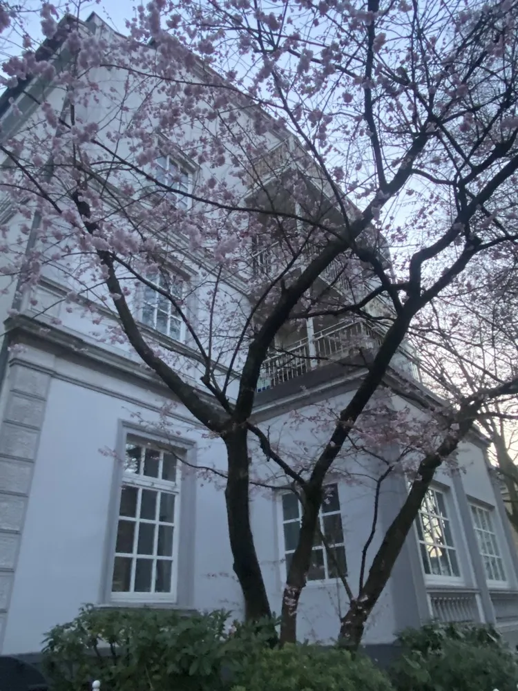 4 room apartment with 80 m² in Hamburg – Photo 2