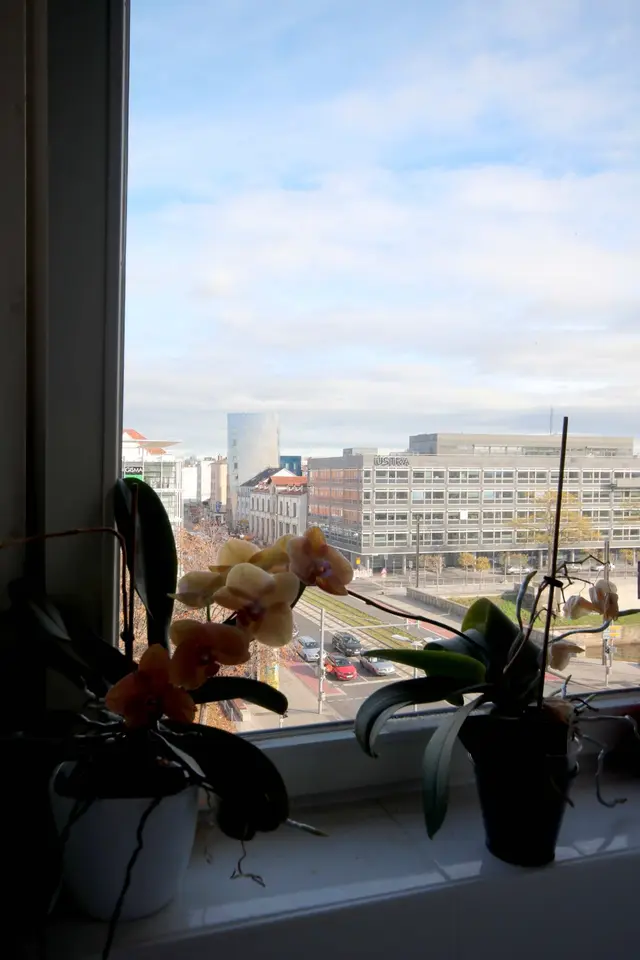 3 Zimmer Wohnung mit 93 m² in Hannover – Bild 6