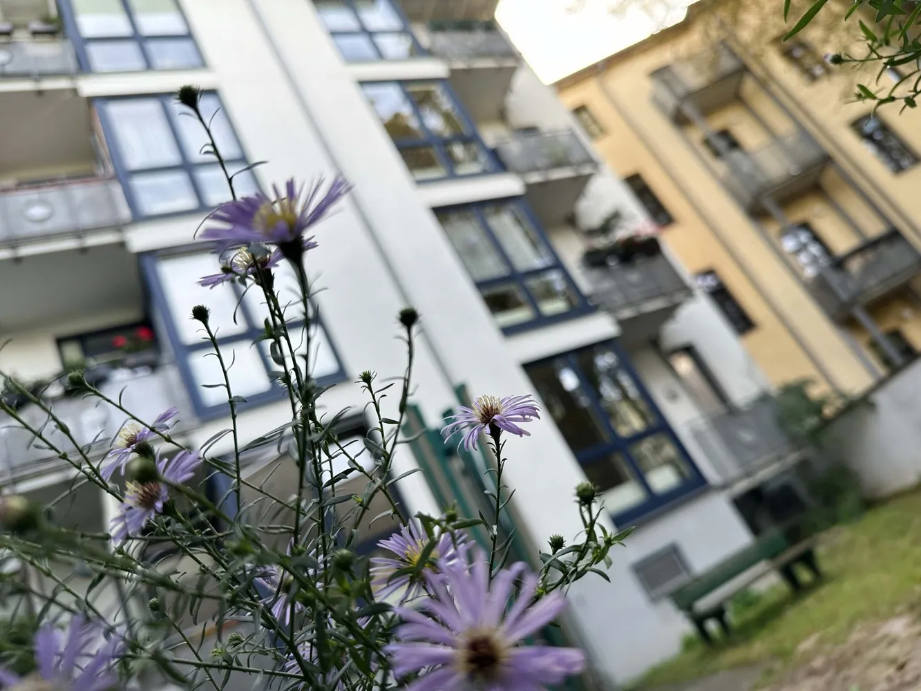 3 Zimmer Wohnung mit 77 m² in Halle (Saale) – Bild 7