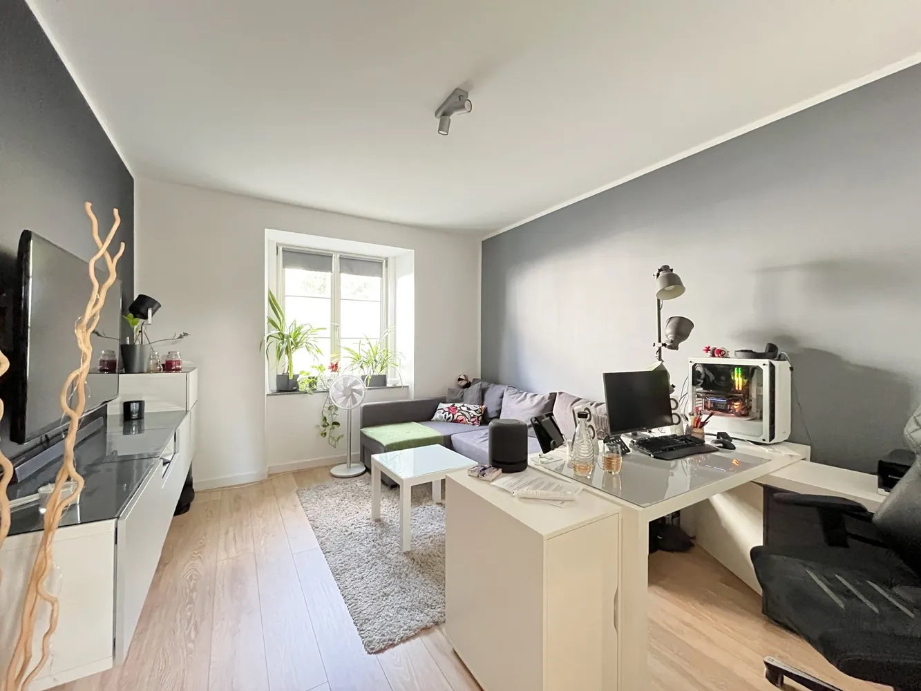 2 room apartment with 52 m² in Chemnitz – Photo 6