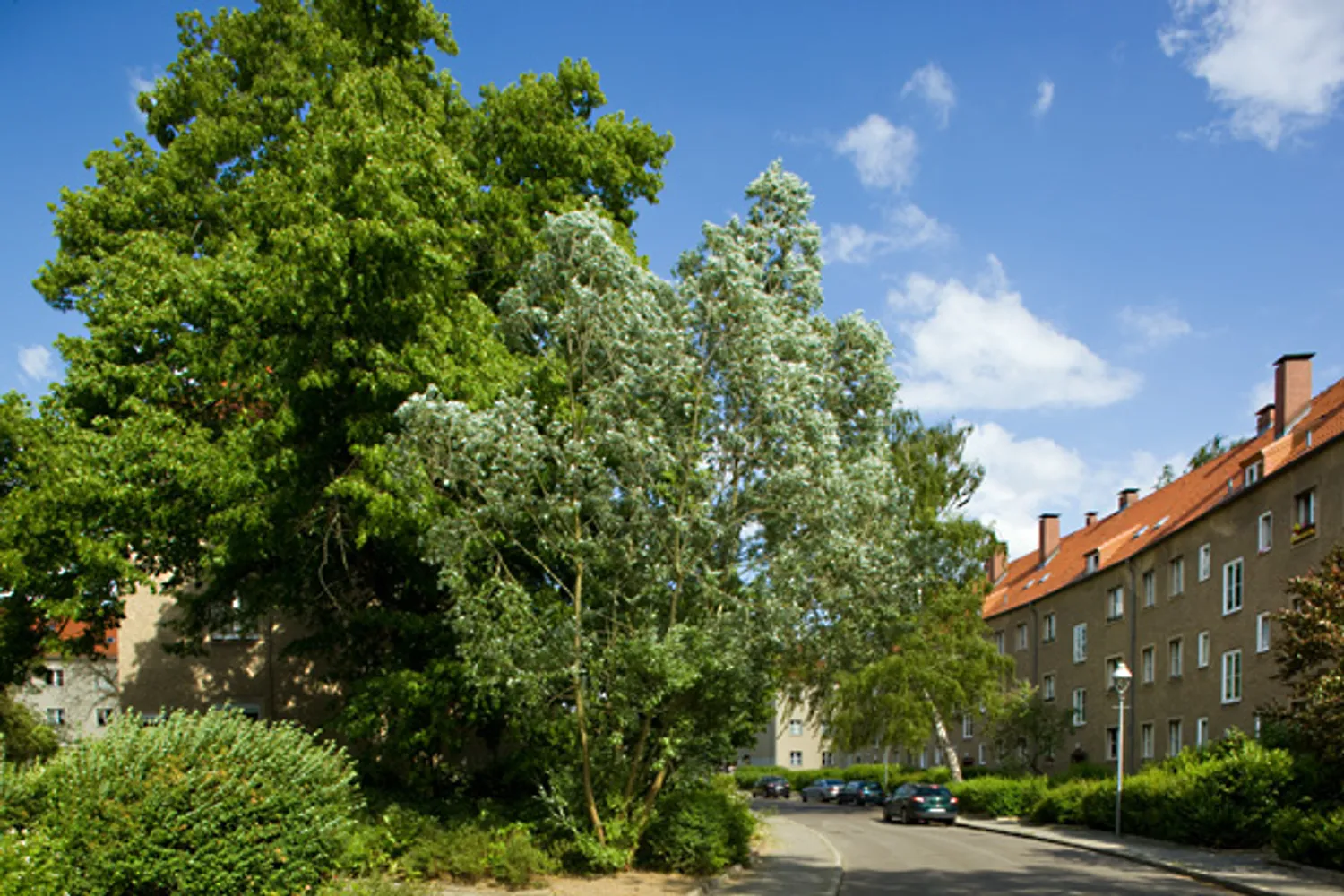 1 Zimmer Wohnung mit 35 m² in Berlin – Bild 1