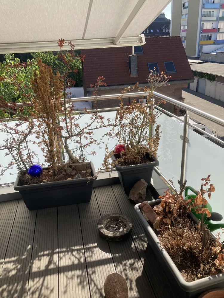 3 Zimmer Wohnung mit 90 m² in Krefeld – Bild 11
