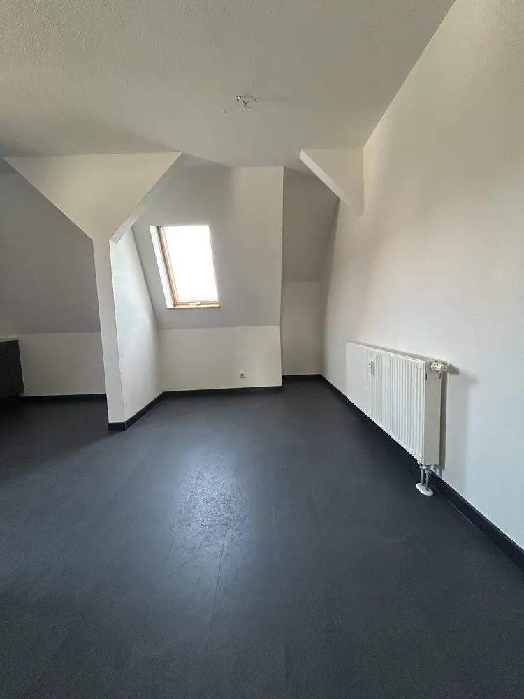 1 room apartment with 45 m² in Zwickau – Photo 2
