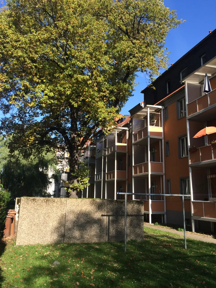 3 room apartment with 65 m² in Magdeburg – Photo 5