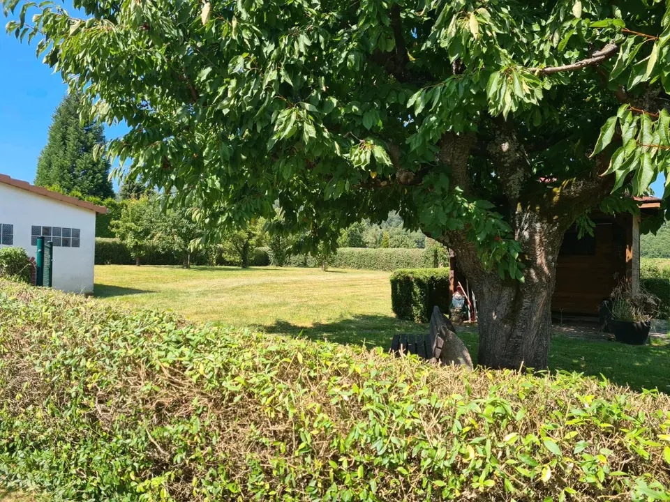 6 Zimmer Haus mit 115 m² in Eschwege – Bild 3