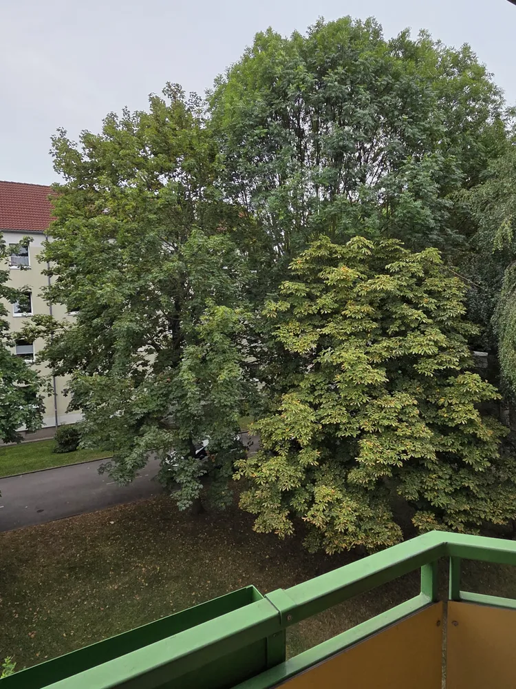 3 room apartment with 60 m² in Gotha – Photo 7