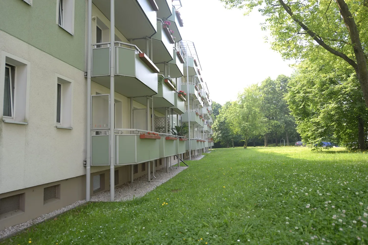 3 room apartment with 61 m² in Chemnitz – Photo 5