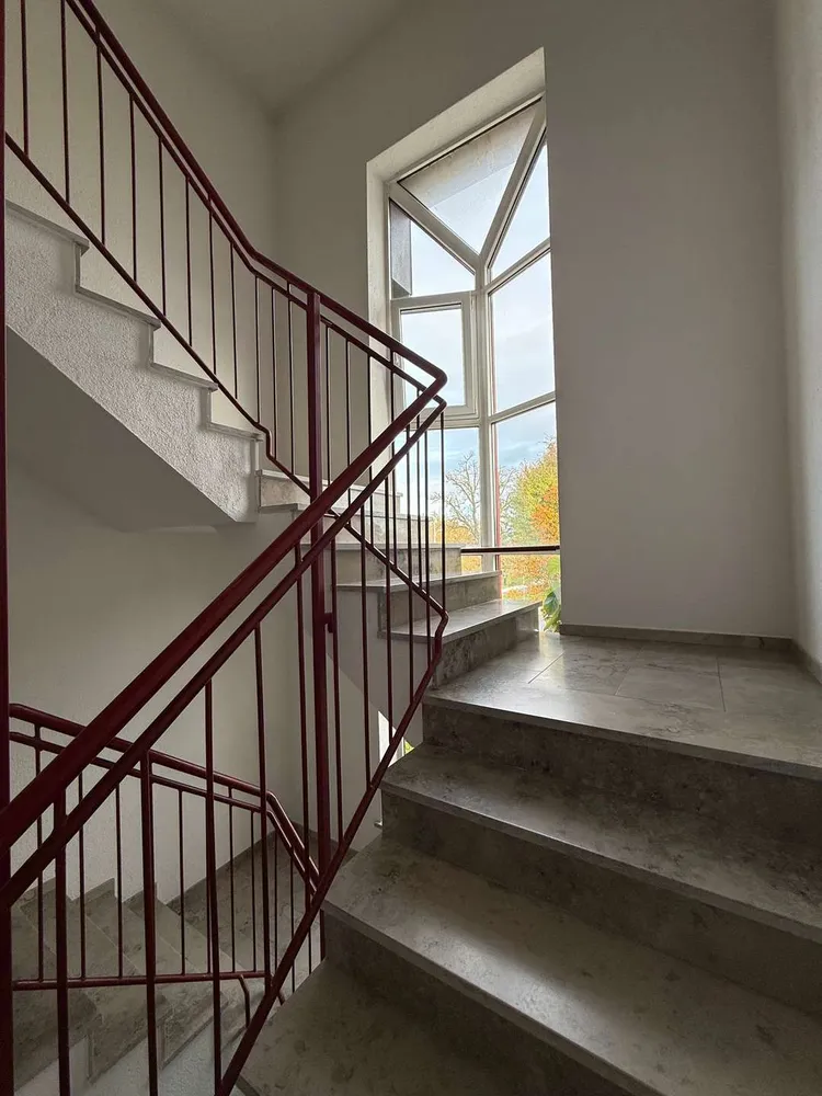 3 Zimmer Wohnung mit 80 m² in Dresden – Bild 3