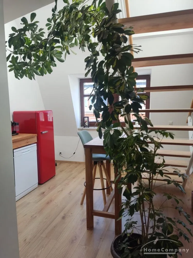 2 Zimmer Wohnung mit 60 m² in Dresden – Bild 11