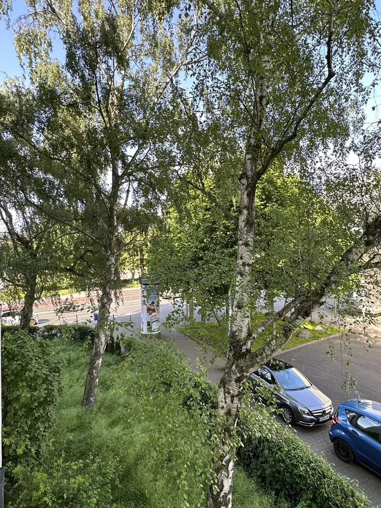 2 Zimmer Wohnung mit 55 m² in Frankfurt am Main – Bild 12
