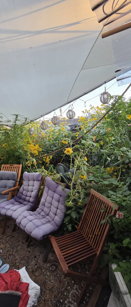 WG-Zimmer mit 20 m² in Berlin – Bild 9