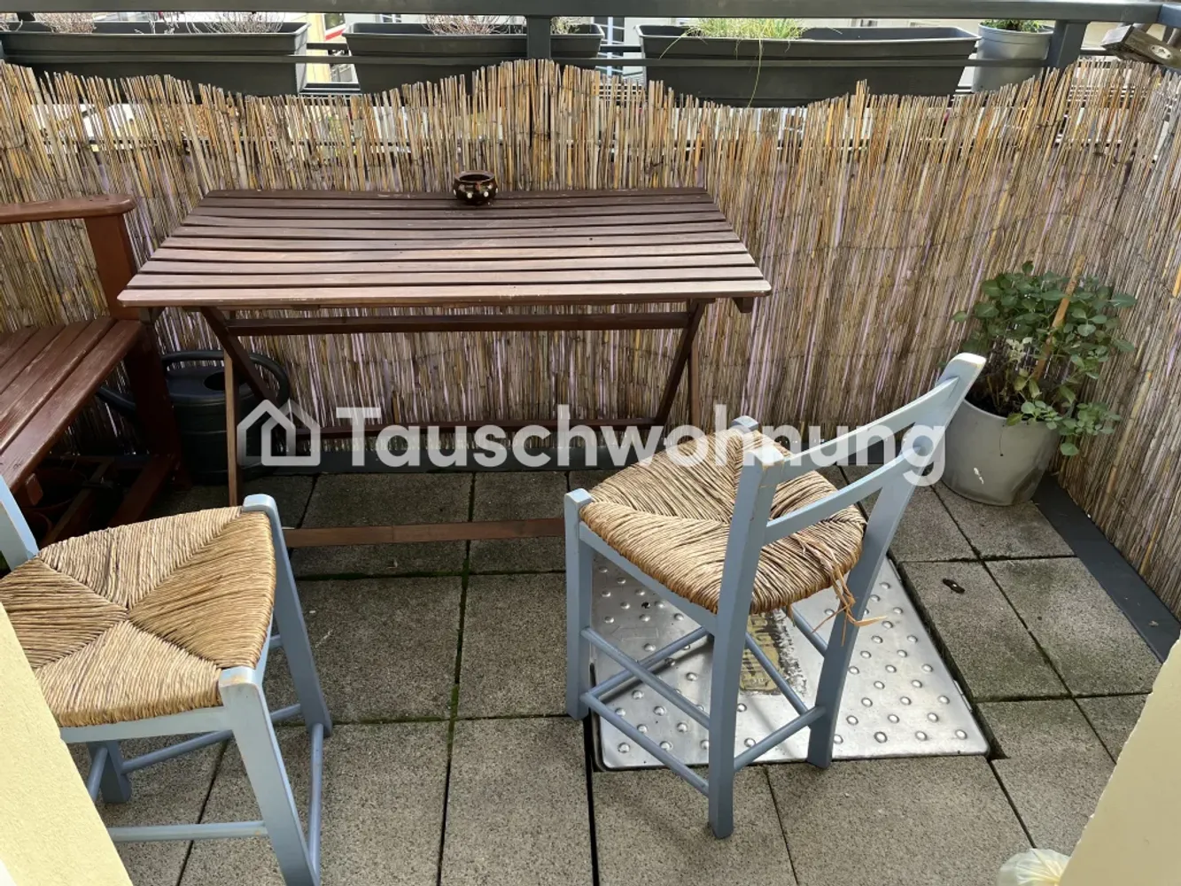 2 room apartment with 50 m² in Dresden – Photo 6