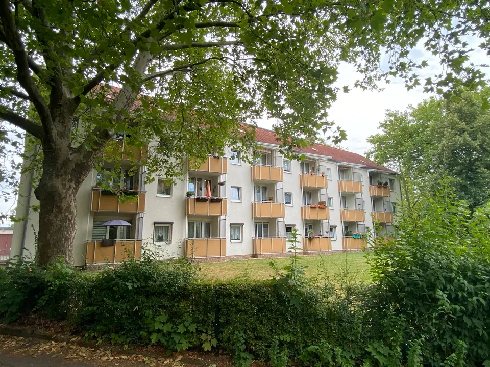 2 Zimmer Wohnung mit 44 m² in Halle (Saale) – Bild 4
