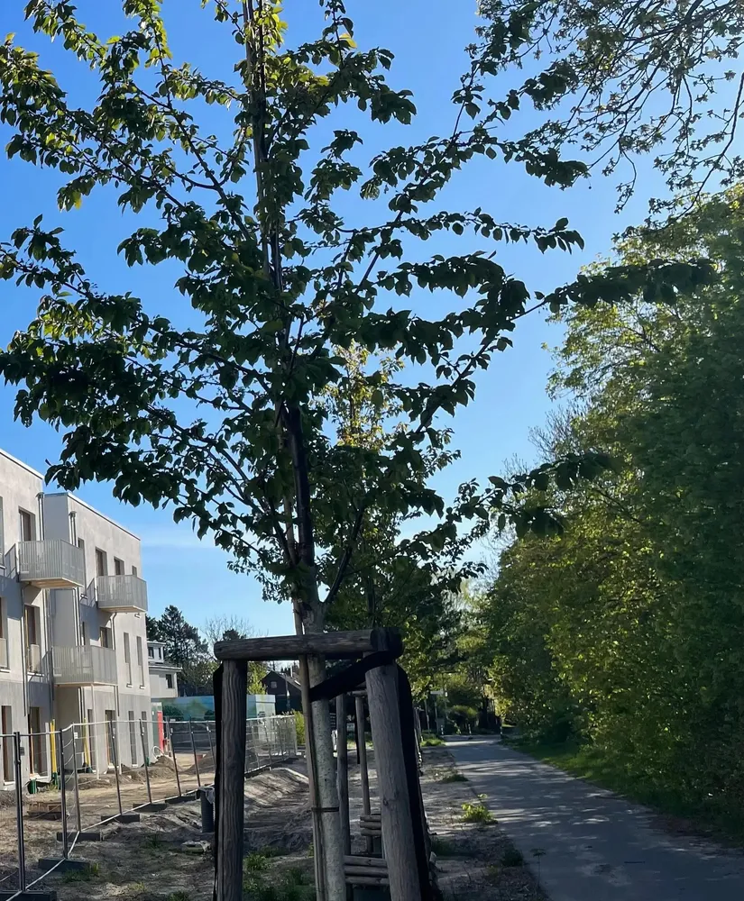 4 Zimmer Wohnung mit 88 m² in Berlin – Bild 5