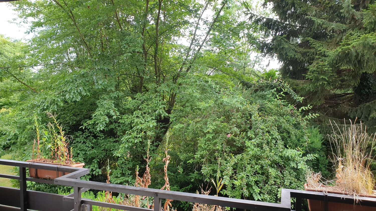 3 Zimmer Wohnung mit 60 m² in Essen – Bild 10
