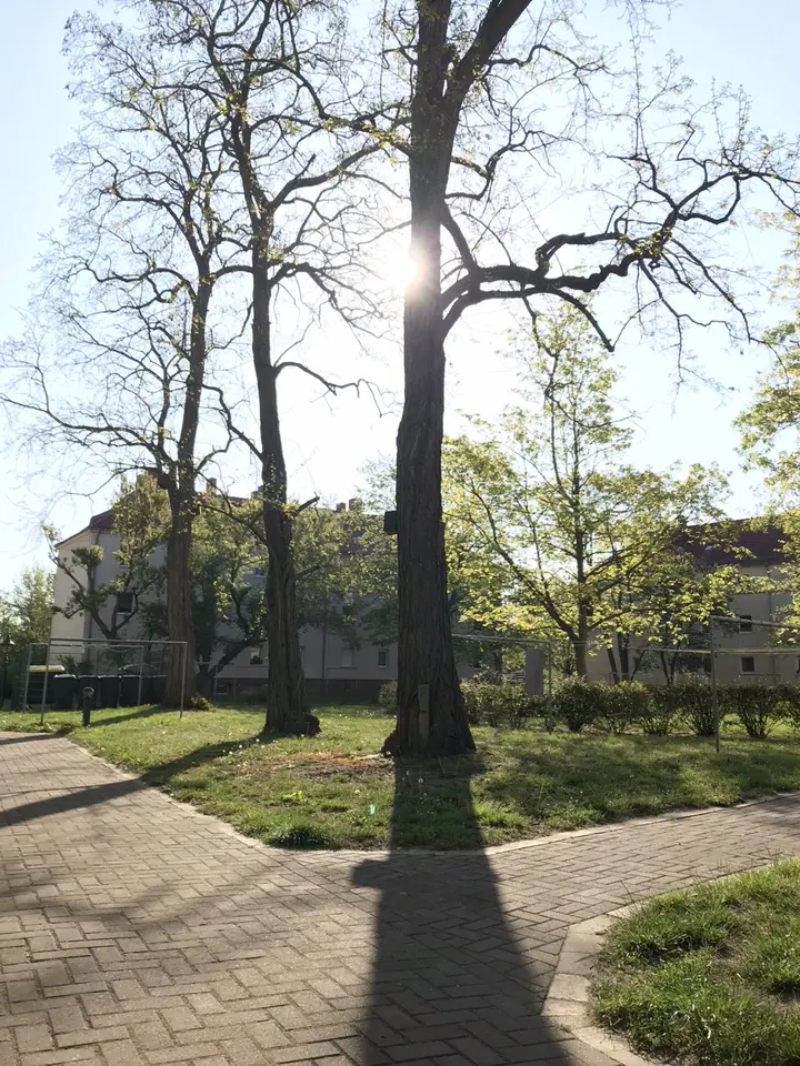 2 Zimmer Wohnung mit 56 m² in Bitterfeld-Wolfen – Bild 6