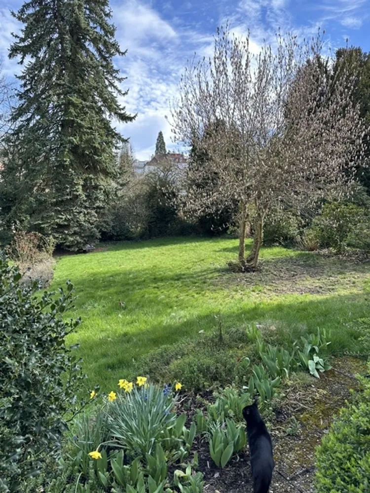 8 Zimmer Haus mit 240 m² in Saarbrücken – Bild 6