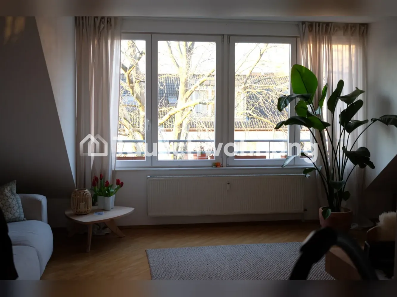 1 Zimmer Wohnung mit 50 m² in Köln – Bild 4