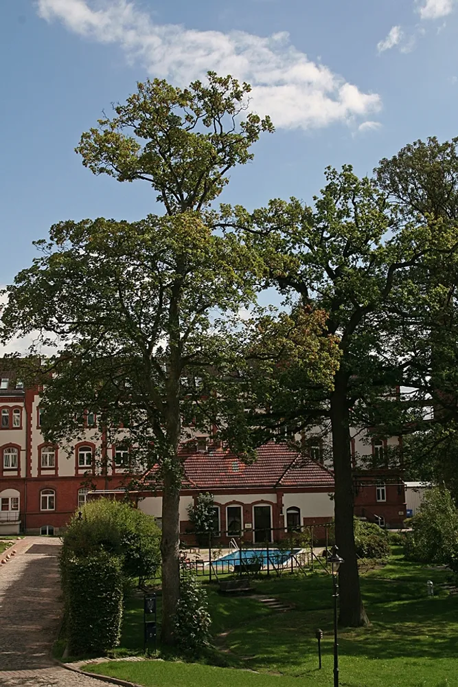 3 Zimmer Wohnung mit 143 m² in Hamburg – Bild 2