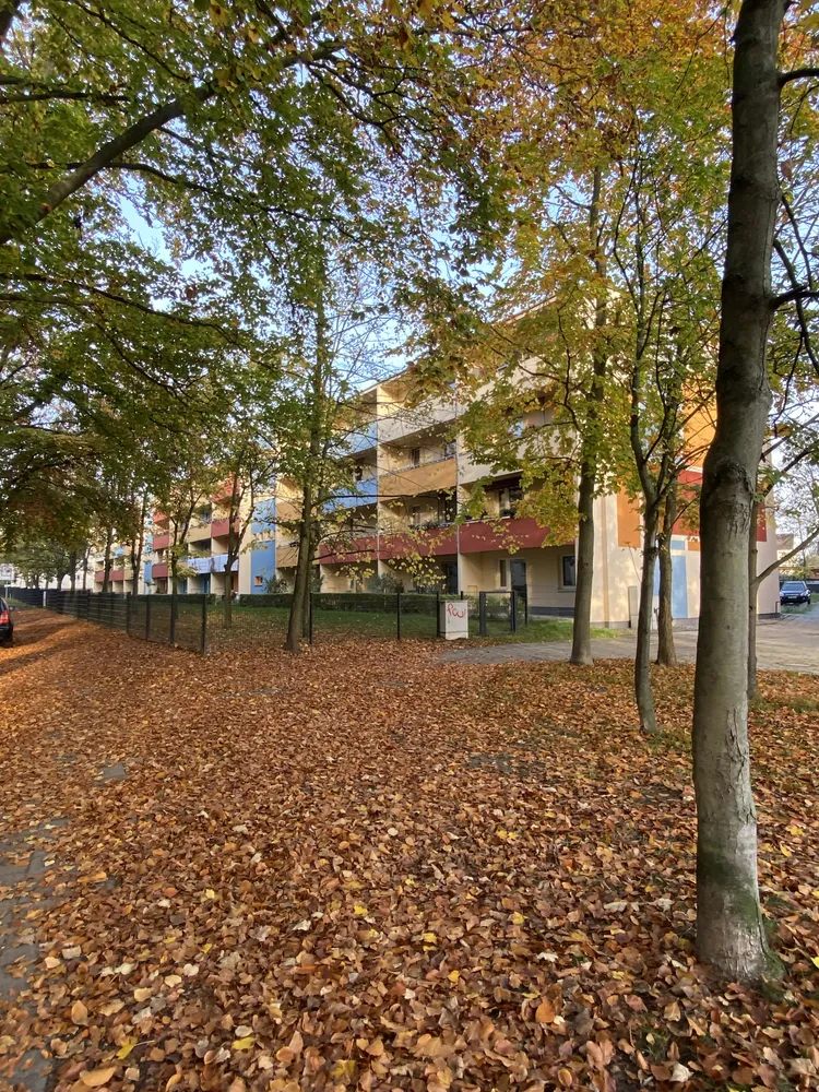 3 Zimmer Wohnung mit 72 m² in Frankfurt (Oder) – Bild 4