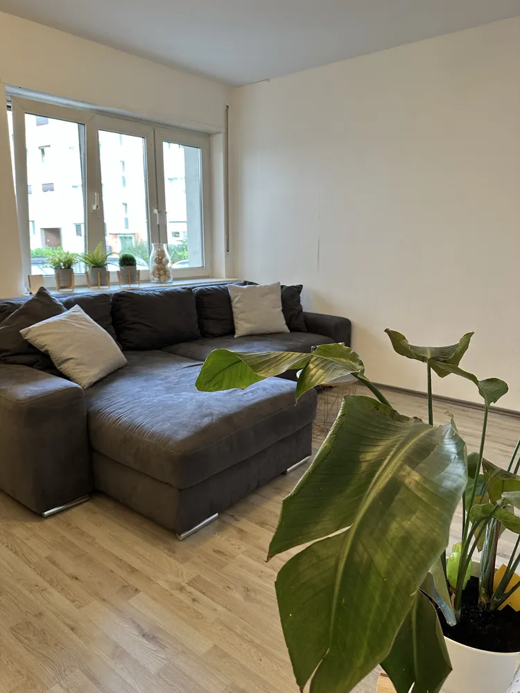 2 Zimmer Wohnung mit 57 m² in Ludwigshafen am Rhein – Bild 6