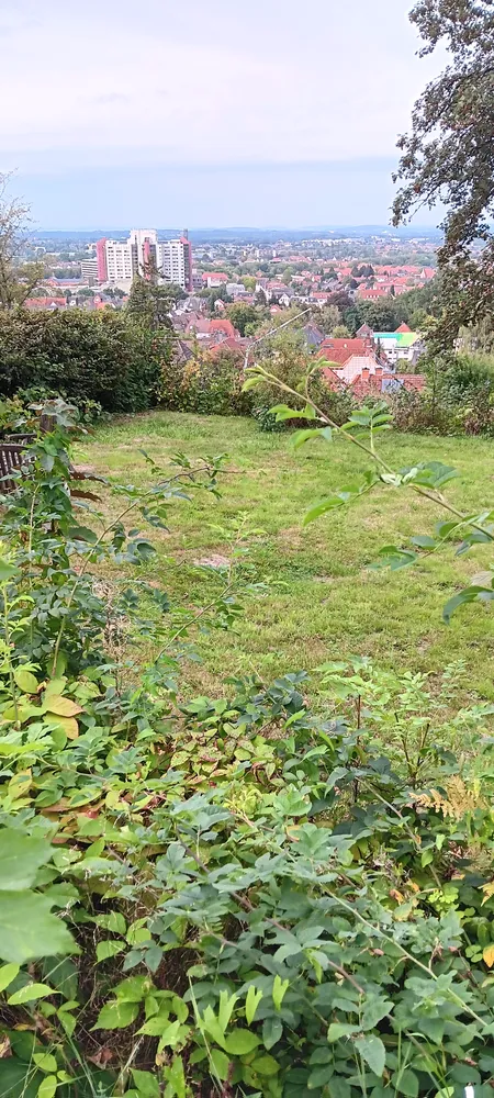 1 Zimmer Wohnung mit 35 m² in Bielefeld – Bild 1