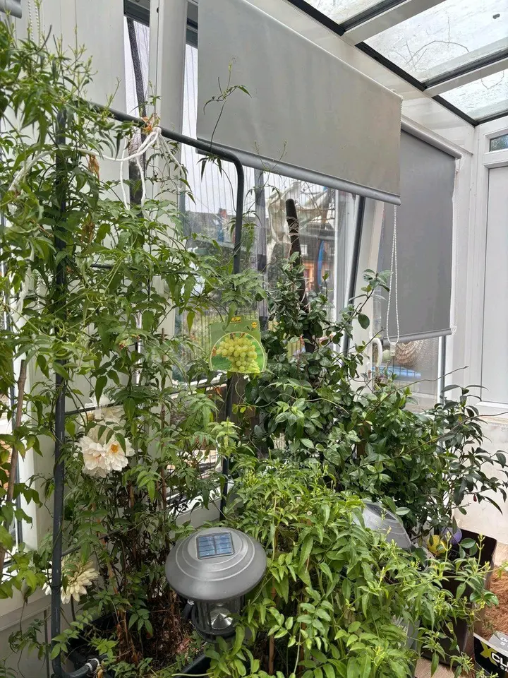 2 Zimmer Wohnung mit 53 m² in Bremen – Bild 8