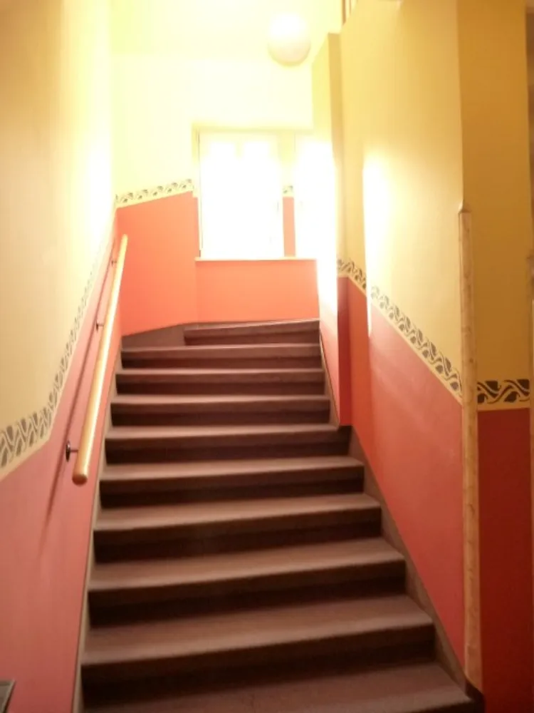 1 room apartment with 30 m² in Dresden – Photo 2