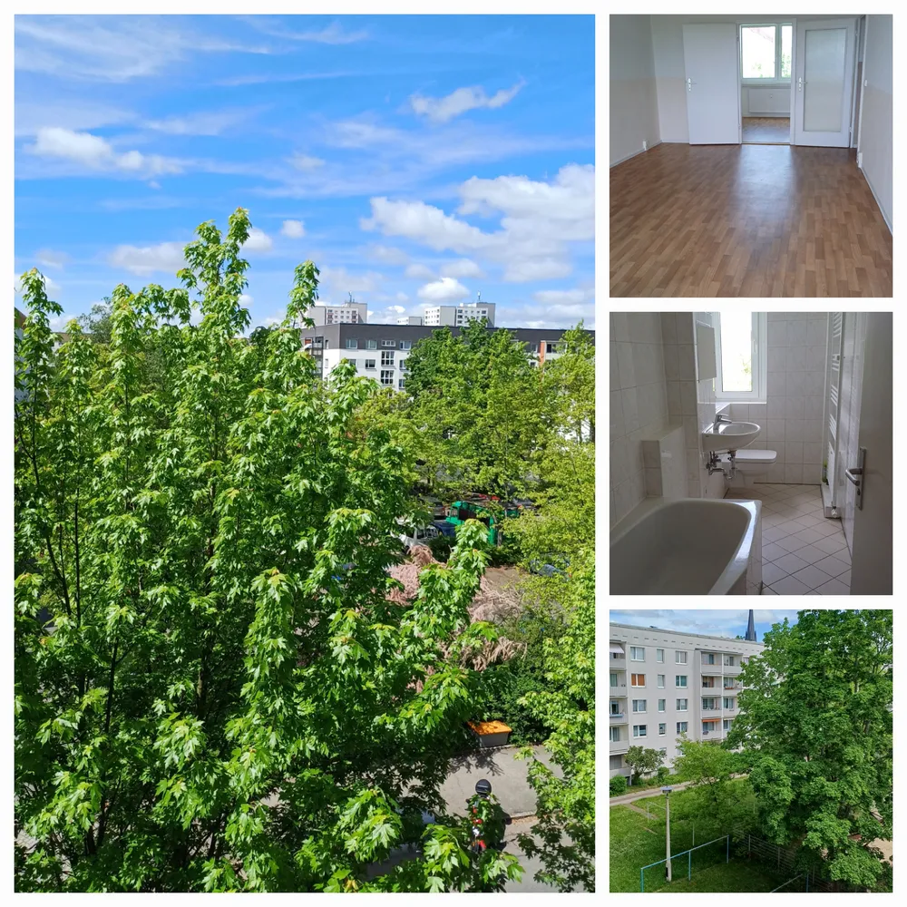 3 Zimmer Wohnung mit 73 m² in Dresden – Bild 1