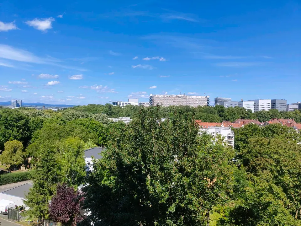 2 Zimmer Wohnung mit 29 m² in Mainz – Bild 10